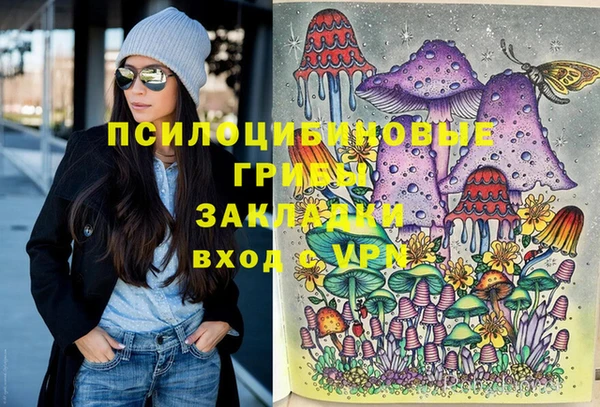 винт Алексеевка
