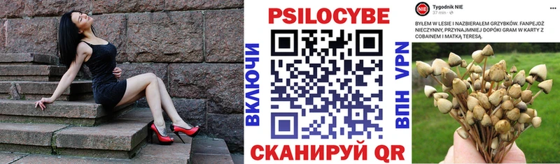 Псилоцибиновые грибы Psilocybe  Льгов 